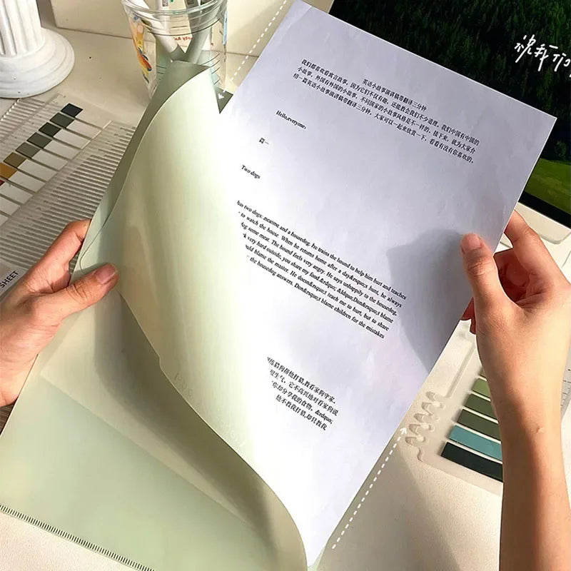 Pochette Plastique Coloré (Types 1)